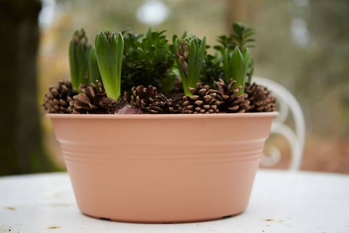 green basics schaal 38cm mild terra